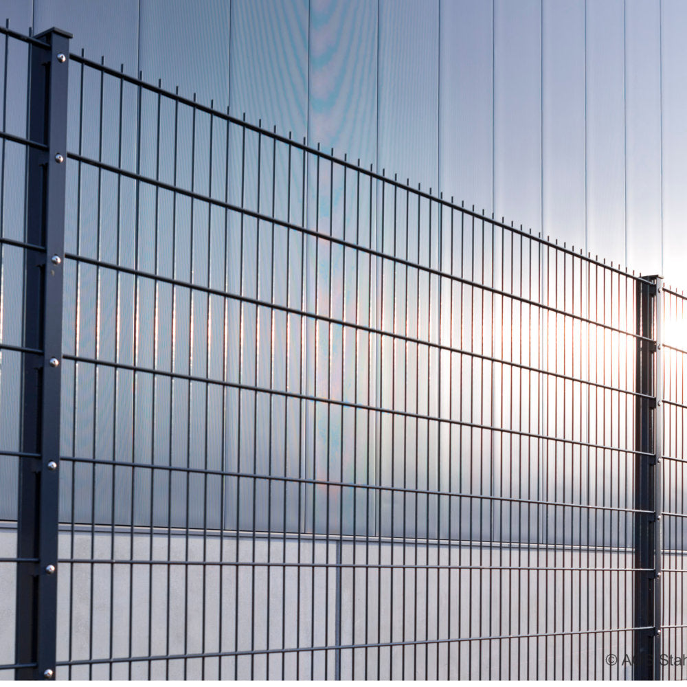 Doppelstabmatte 8/6/8 mm