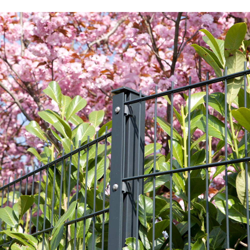 Steher 60/40 mm mit Abdeckleiste